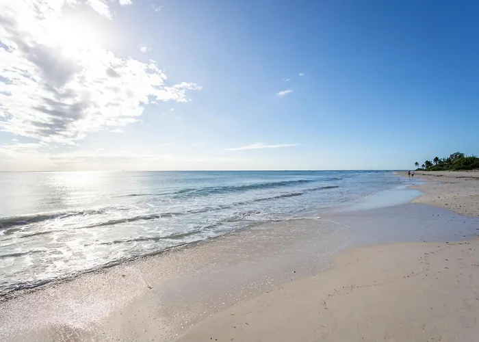 New !! Casa Miramar Ocean View 325 S Apts Apartment *